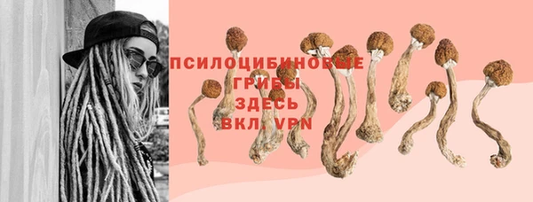 твердый Алексин