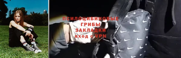 прущие грибы Алзамай
