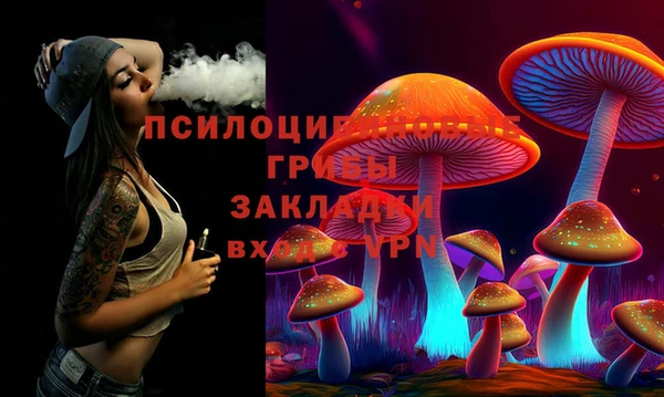 твердый Алексин