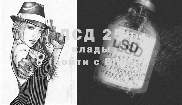 прущие грибы Алзамай
