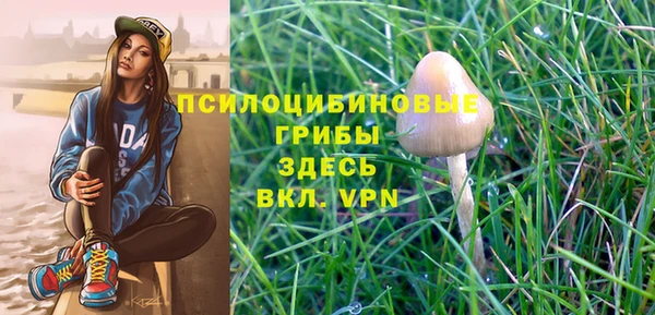 прущие грибы Алзамай